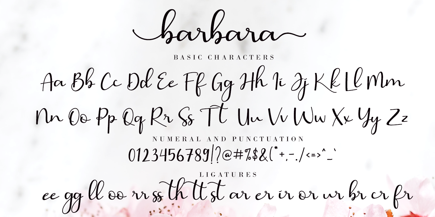 Пример шрифта Barbara Calligraphy #3